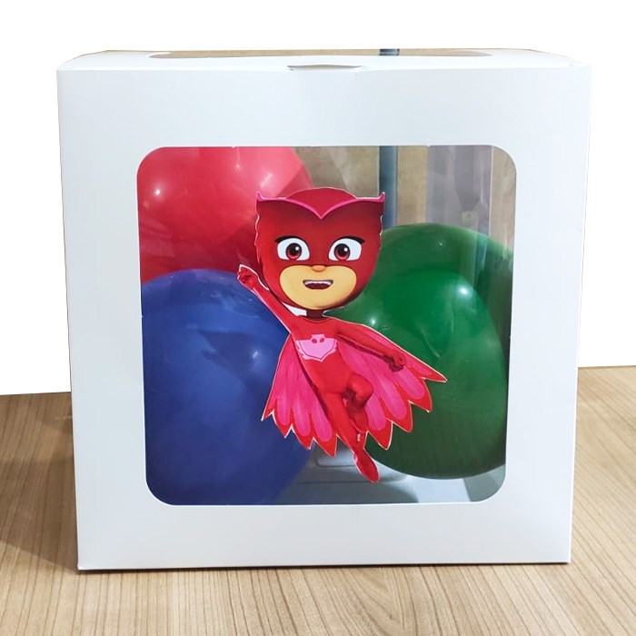 Pj masks Baykuş Kız Temalı Şeffaf Kutu Seti