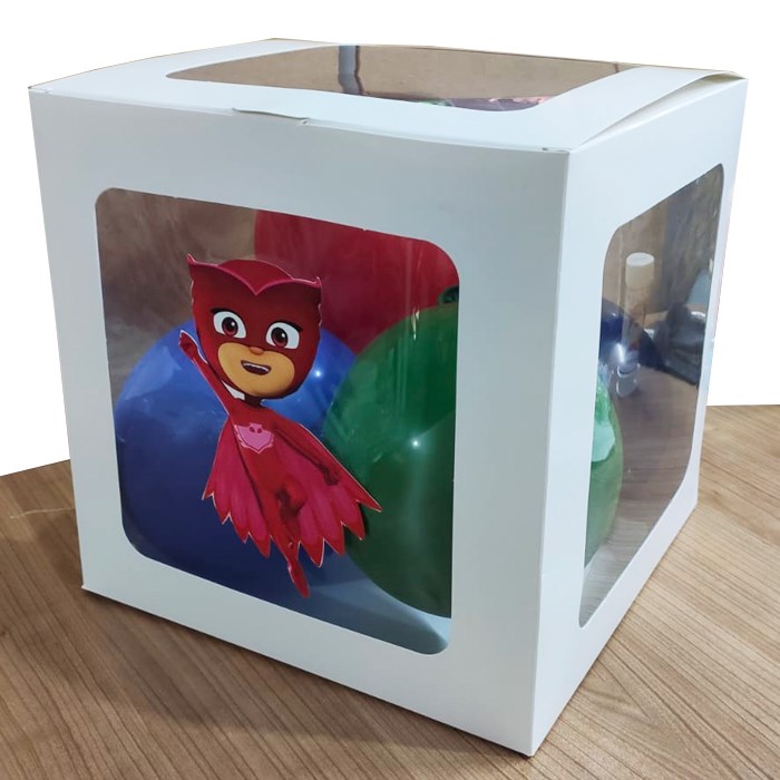 Pj masks Baykuş Kız Temalı Şeffaf Kutu Seti