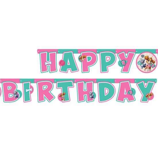 Paw Patrol Skye Temalı Happy Birthday Banner